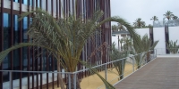 Technological Institute of the Palm tree, Elche